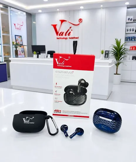 NEW VALI ANUSWAAR EARBUD WITH SILICONE CASE