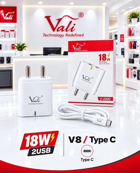 VALI V 2045 18W DUAL USB TYPE-C CHARGER